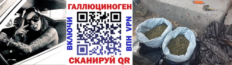 OMG ССЫЛКА  Нефтеюганск  Псилоцибиновые грибы Psilocybe 